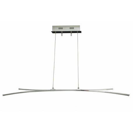 Svala kattovalaisin, Aneta